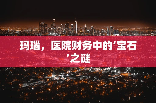 玛瑙，医院财务中的‘宝石’之谜