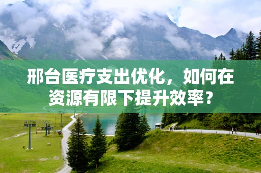 邢台医疗支出优化，如何在资源有限下提升效率？