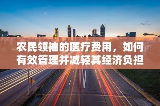 农民领袖的医疗费用，如何有效管理并减轻其经济负担？