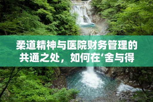 柔道精神与医院财务管理的共通之处，如何在‘舍与得’中寻找平衡？