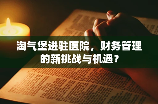 淘气堡进驻医院，财务管理的新挑战与机遇？