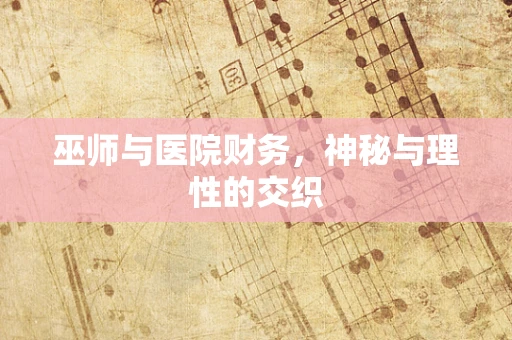 巫师与医院财务，神秘与理性的交织
