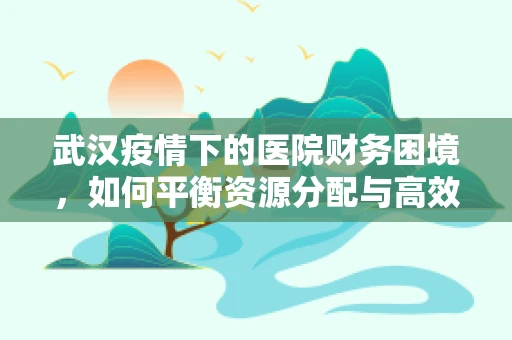 武汉疫情下的医院财务困境，如何平衡资源分配与高效救治？