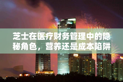 芝士在医疗财务管理中的隐秘角色，营养还是成本陷阱？