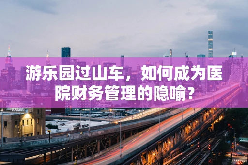 游乐园过山车，如何成为医院财务管理的隐喻？
