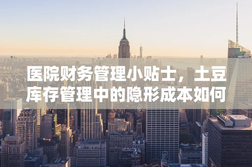 医院财务管理小贴士，土豆库存管理中的隐形成本如何控制？