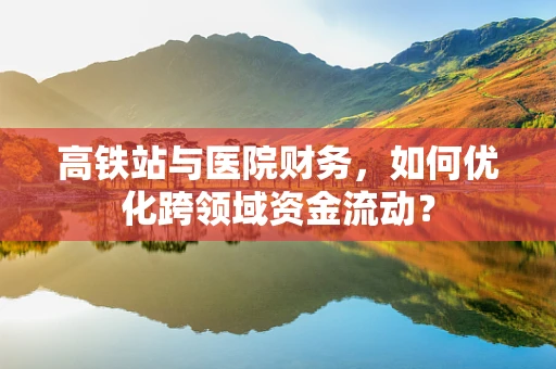 高铁站与医院财务，如何优化跨领域资金流动？