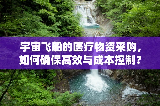 宇宙飞船的医疗物资采购，如何确保高效与成本控制？