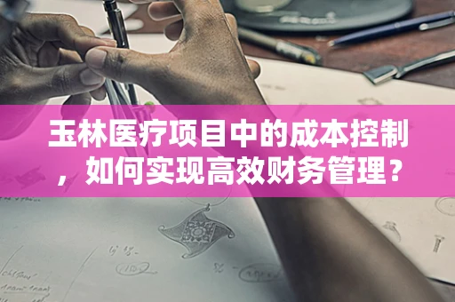 玉林医疗项目中的成本控制，如何实现高效财务管理？