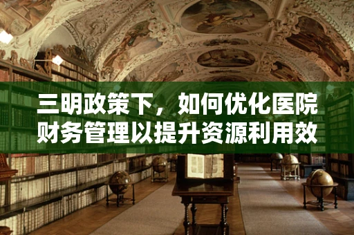 三明政策下，如何优化医院财务管理以提升资源利用效率？