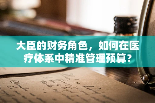 大臣的财务角色，如何在医疗体系中精准管理预算？