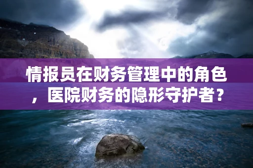 情报员在财务管理中的角色，医院财务的隐形守护者？