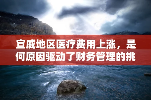 宣威地区医疗费用上涨，是何原因驱动了财务管理的挑战？