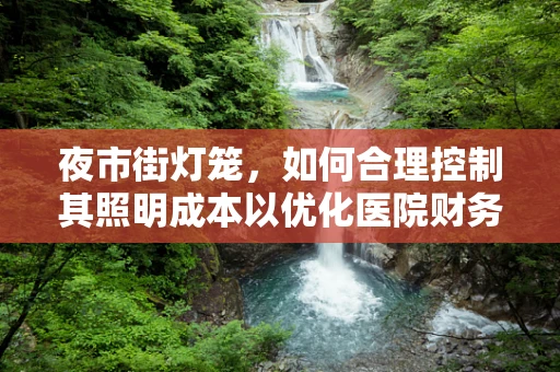 夜市街灯笼，如何合理控制其照明成本以优化医院财务？