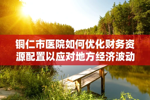 铜仁市医院如何优化财务资源配置以应对地方经济波动？