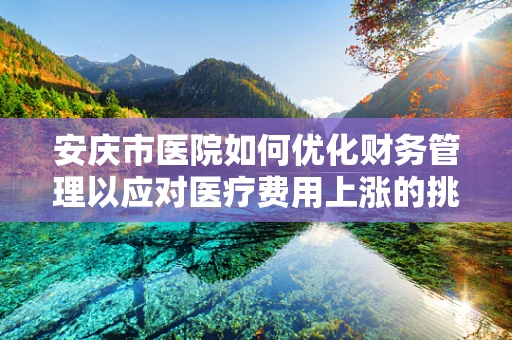 安庆市医院如何优化财务管理以应对医疗费用上涨的挑战？