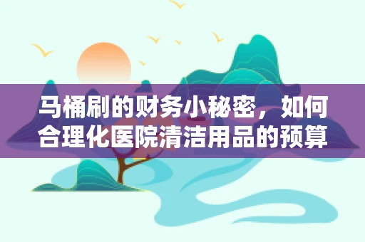 马桶刷的财务小秘密，如何合理化医院清洁用品的预算管理？