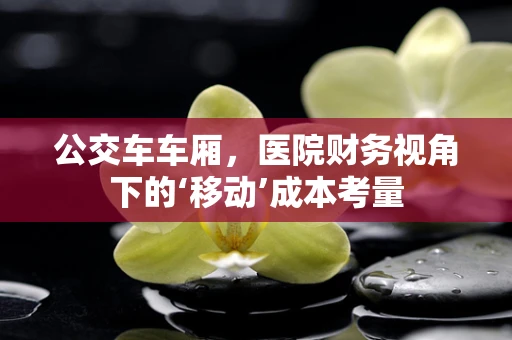 公交车车厢，医院财务视角下的‘移动’成本考量