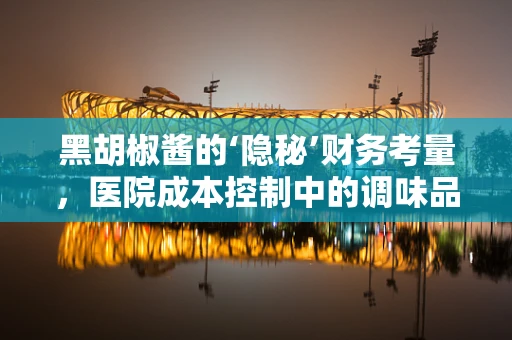 黑胡椒酱的‘隐秘’财务考量，医院成本控制中的调味品之谜