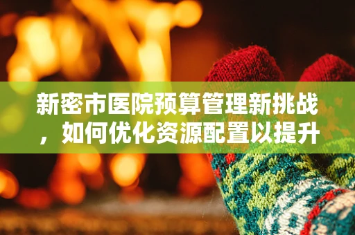 新密市医院预算管理新挑战，如何优化资源配置以提升效率？