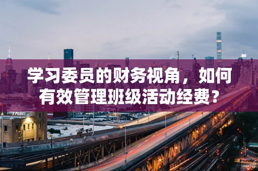 学习委员的财务视角，如何有效管理班级活动经费？