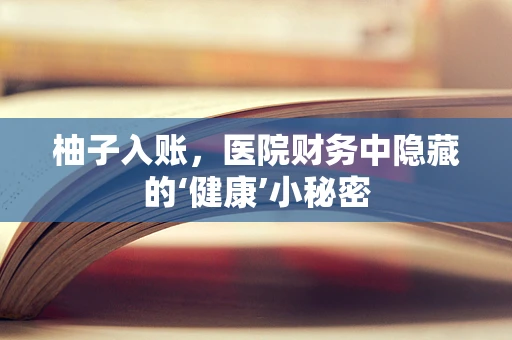 柚子入账，医院财务中隐藏的‘健康’小秘密