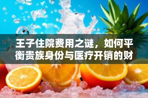 王子住院费用之谜，如何平衡贵族身份与医疗开销的财务管理？