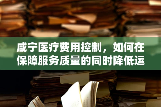 咸宁医疗费用控制，如何在保障服务质量的同时降低运营成本？