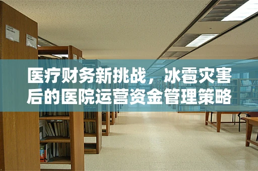 医疗财务新挑战，冰雹灾害后的医院运营资金管理策略