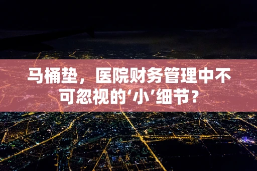 马桶垫，医院财务管理中不可忽视的‘小’细节？