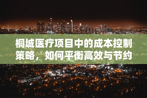 桐城医疗项目中的成本控制策略，如何平衡高效与节约？