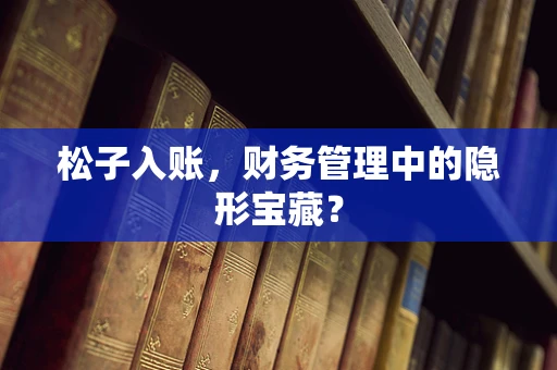 松子入账，财务管理中的隐形宝藏？