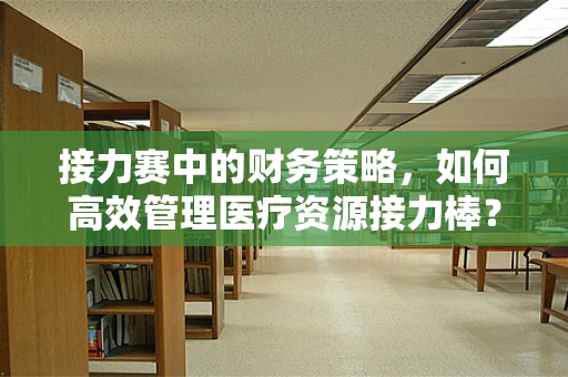 接力赛中的财务策略，如何高效管理医疗资源接力棒？