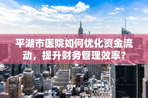 平湖市医院如何优化资金流动，提升财务管理效率？