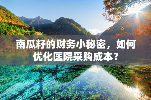 南瓜籽的财务小秘密，如何优化医院采购成本？