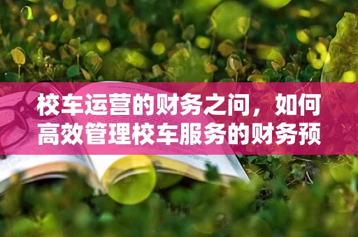 校车运营的财务之问，如何高效管理校车服务的财务预算？