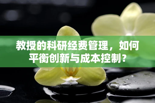 教授的科研经费管理，如何平衡创新与成本控制？