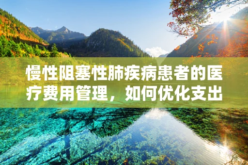 慢性阻塞性肺疾病患者的医疗费用管理，如何优化支出以提升治疗效率？