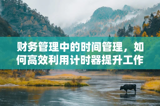 财务管理中的时间管理，如何高效利用计时器提升工作效率？