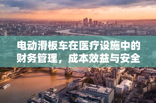 电动滑板车在医疗设施中的财务管理，成本效益与安全考量