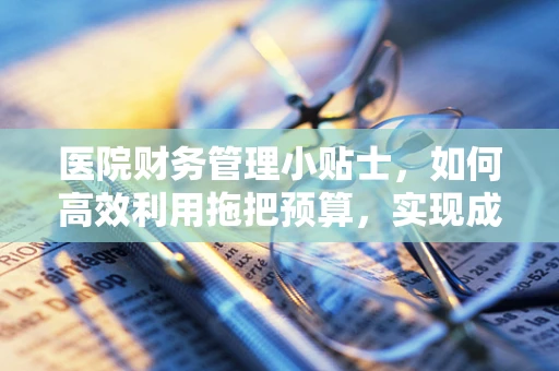 医院财务管理小贴士，如何高效利用拖把预算，实现成本控制新高度？