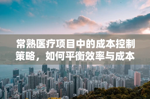 常熟医疗项目中的成本控制策略，如何平衡效率与成本？