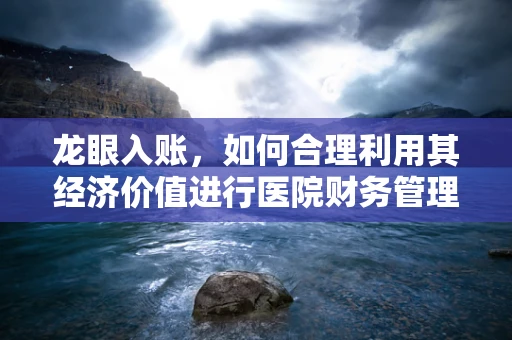龙眼入账，如何合理利用其经济价值进行医院财务管理？