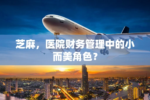 芝麻，医院财务管理中的小而美角色？