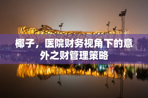 椰子，医院财务视角下的意外之财管理策略