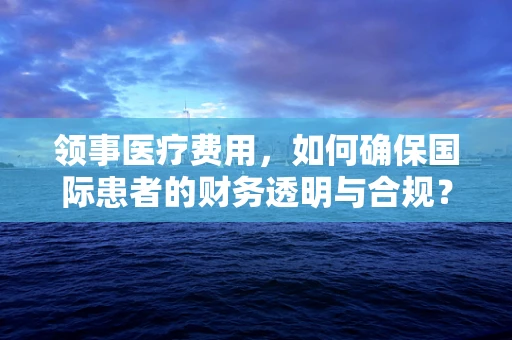 领事医疗费用，如何确保国际患者的财务透明与合规？
