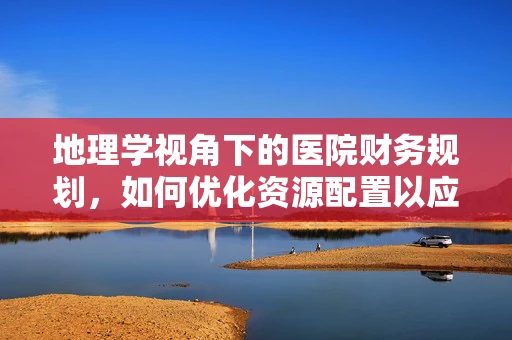 地理学视角下的医院财务规划，如何优化资源配置以应对地区差异？