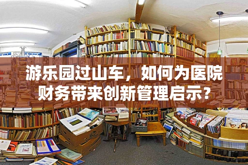 游乐园过山车，如何为医院财务带来创新管理启示？