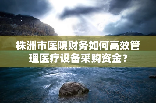 株洲市医院财务如何高效管理医疗设备采购资金？