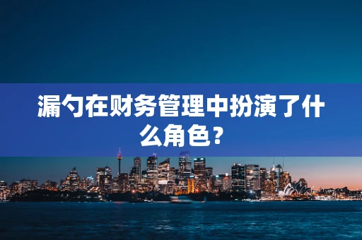 漏勺在财务管理中扮演了什么角色？